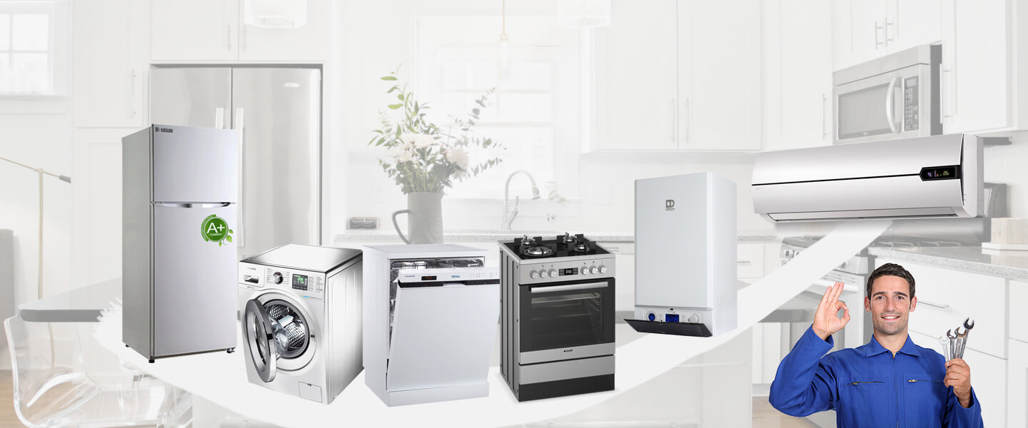 İnönü Gorenje Servisi
